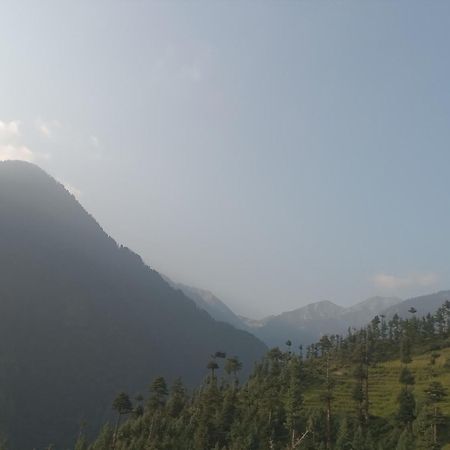 Apartament Moonlight Ridge McLeod Ganj Zewnętrze zdjęcie