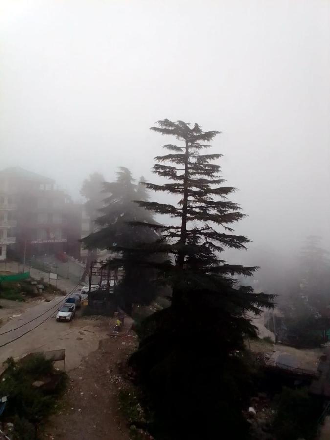 Apartament Moonlight Ridge McLeod Ganj Zewnętrze zdjęcie