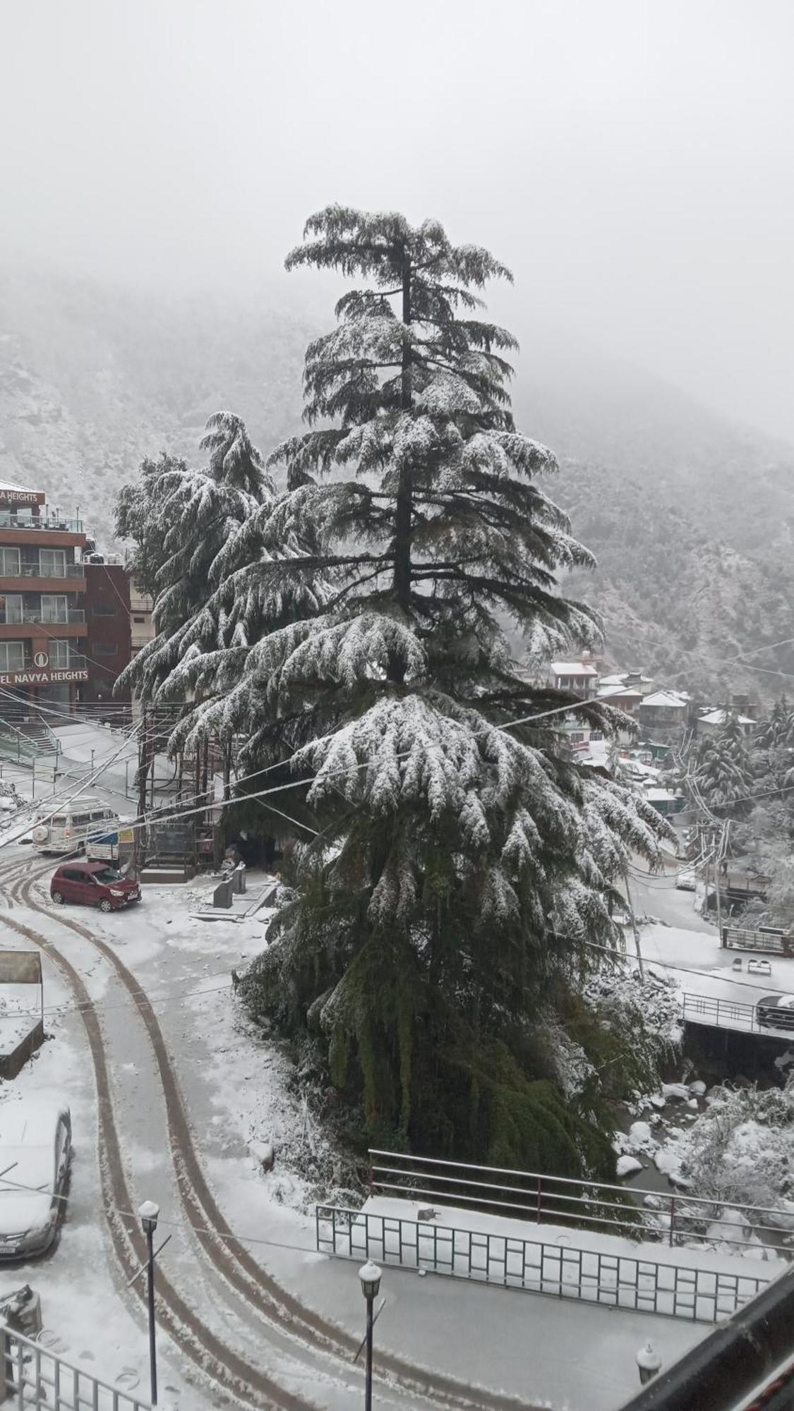 Apartament Moonlight Ridge McLeod Ganj Zewnętrze zdjęcie