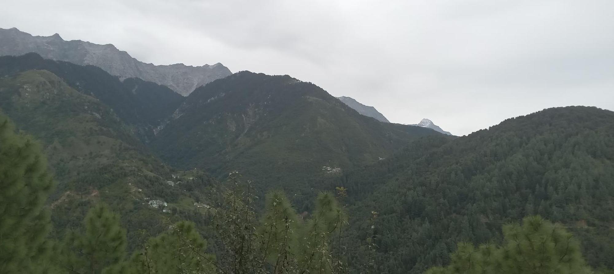 Apartament Moonlight Ridge McLeod Ganj Zewnętrze zdjęcie